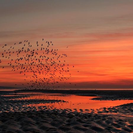 Hoekje Aan Zee 滨海卡特韦克 外观 照片