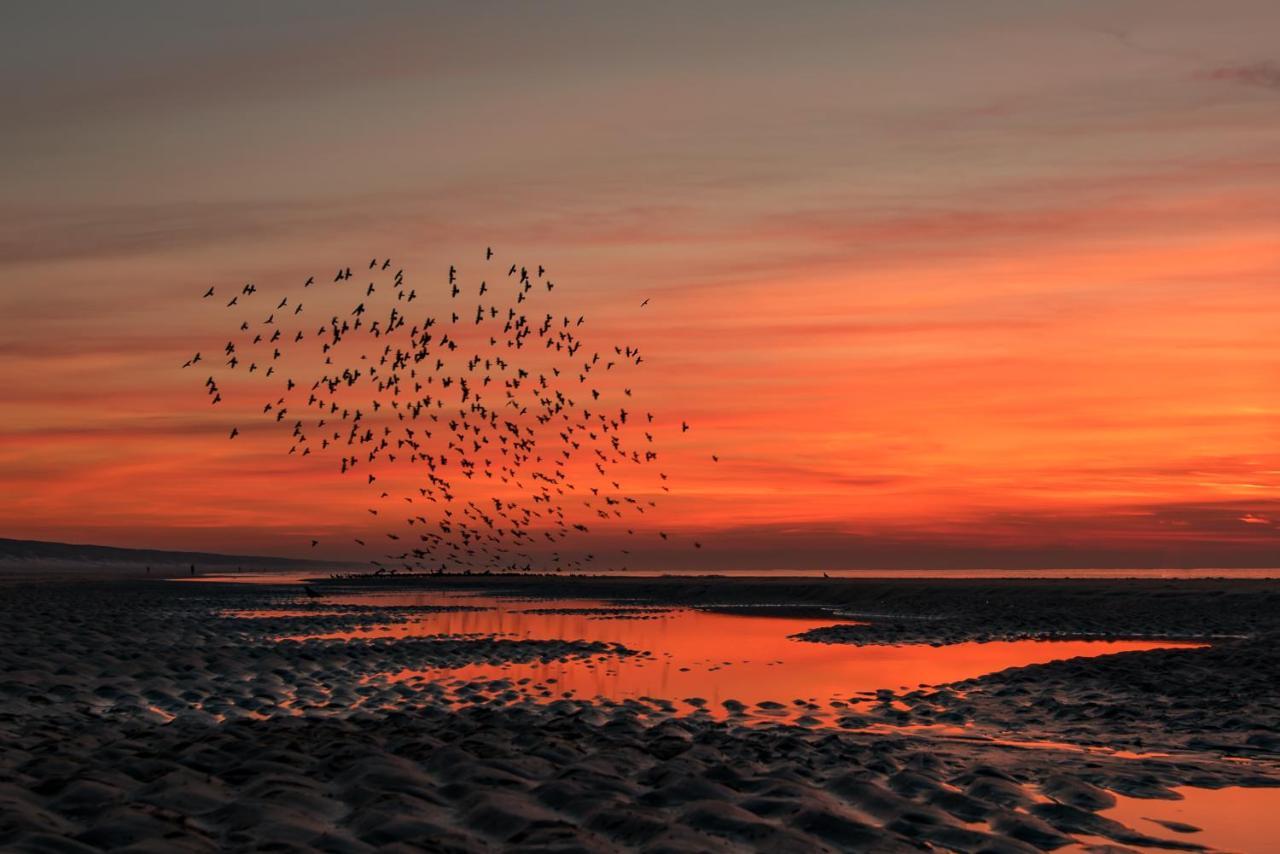 Hoekje Aan Zee 滨海卡特韦克 外观 照片