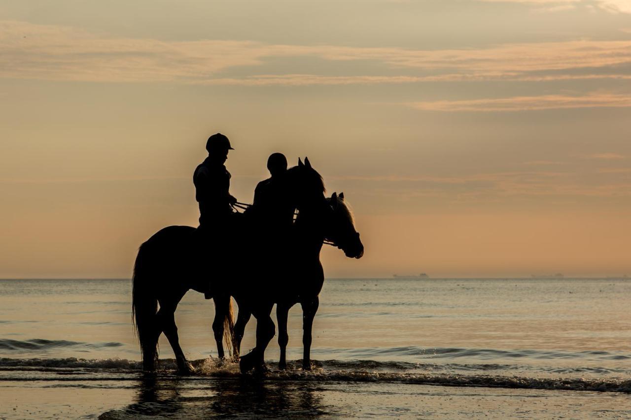 Hoekje Aan Zee 滨海卡特韦克 外观 照片
